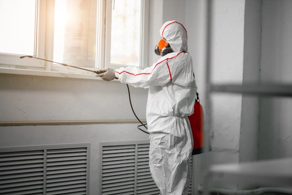 Professional mold remediation services in Marion, MI